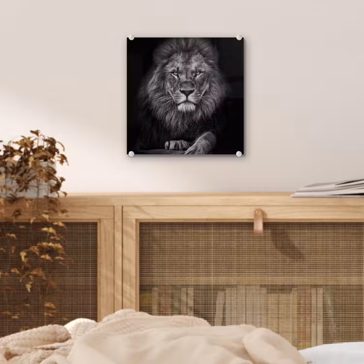 Leeuw - Dieren - Zwart - Wit plexiglas 5mm klein -sfeer4