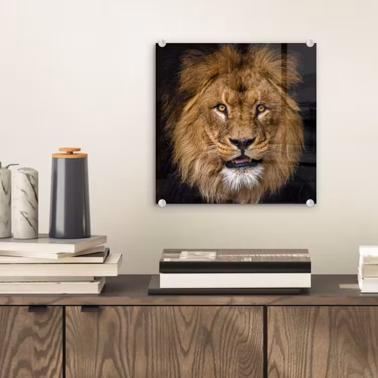 Leeuw - Portret - Zwart - Dieren plexiglas 5mm klein -sfeer1