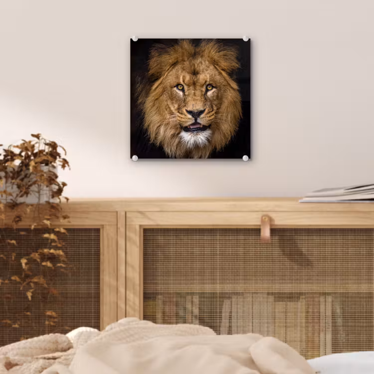 Leeuw - Portret - Zwart - Dieren plexiglas 5mm klein -sfeer4