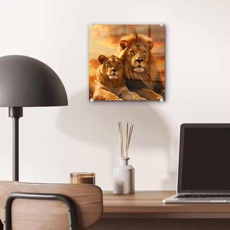 Leeuwen - Zonsondergang - Afrika - Savanne - Dieren plexiglas 5mm klein -sfeer6