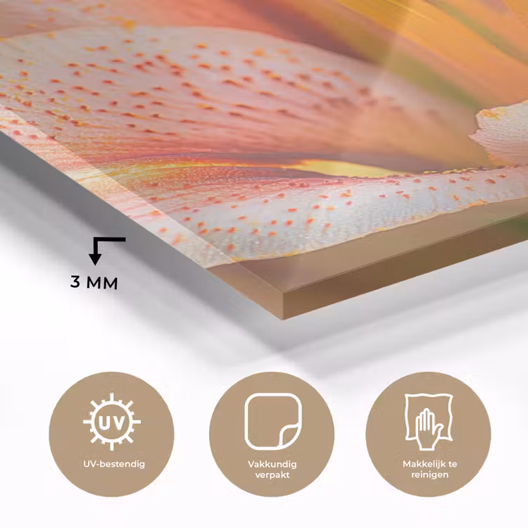 Lelie - Close up - Lichtroze plexiglas 5mm klein -sfeer2