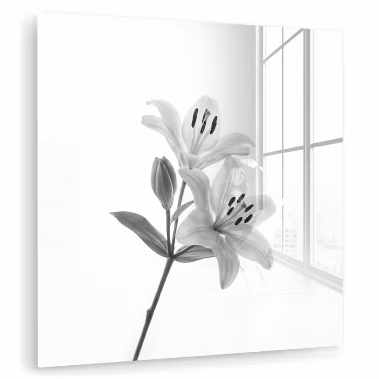 Lelies - Elegant - Zwart - Wit plexiglas 5mm klein -zzzproduct_nieuw