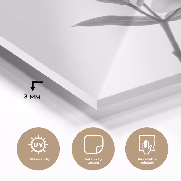 Lelies - Elegant - Zwart - Wit plexiglas 5mm klein -sfeer2