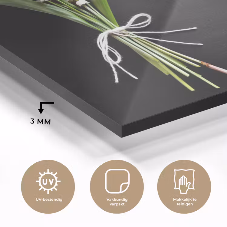bloemen-5-1-1 plexiglas 5mm klein -sfeer2