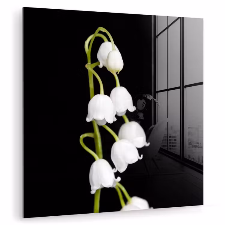 Lelietjes van dalen - Bloemen - Zwart - Flora plexiglas 5mm klein -zzzproduct_nieuw