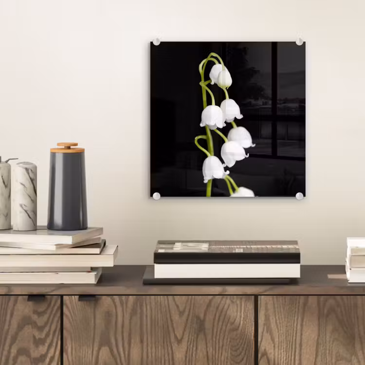 Lelietjes van dalen - Bloemen - Zwart - Flora plexiglas 5mm klein -sfeer1