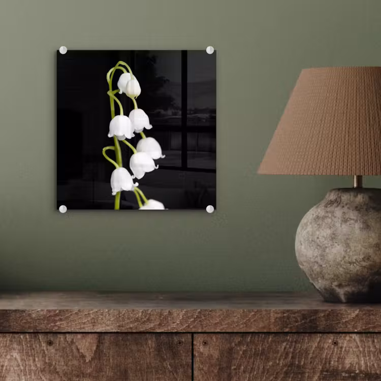 Lelietjes van dalen - Bloemen - Zwart - Flora plexiglas 5mm klein -sfeer3