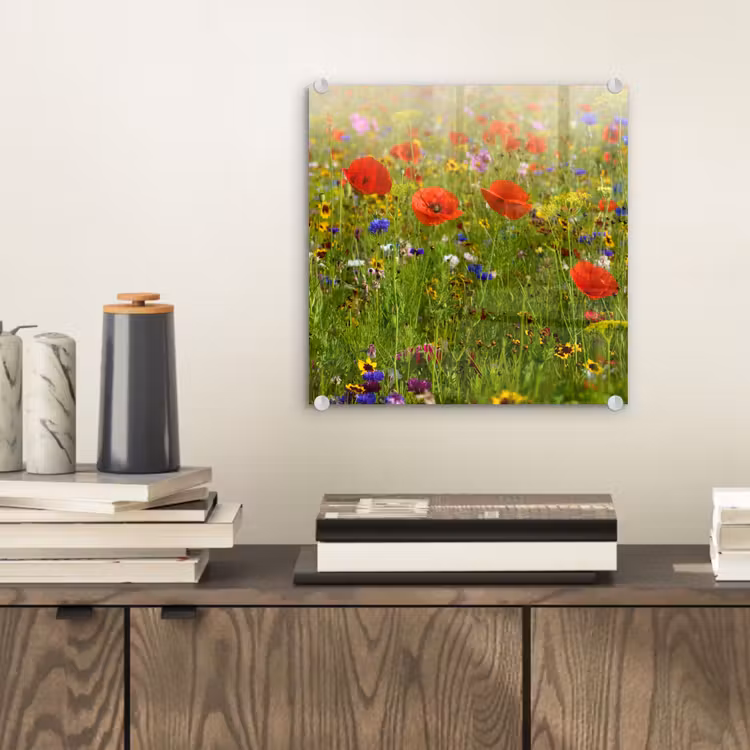 Lente - Bloemen - Rood - Klaproos - Gras - Groen plexiglas 5mm klein -sfeer1