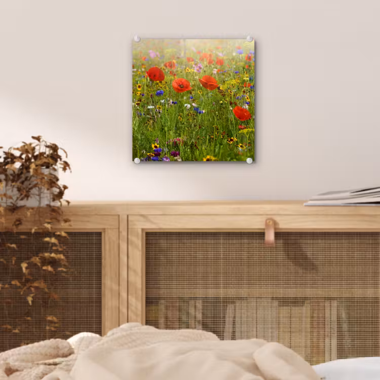 Lente - Bloemen - Rood - Klaproos - Gras - Groen plexiglas 5mm klein -sfeer4