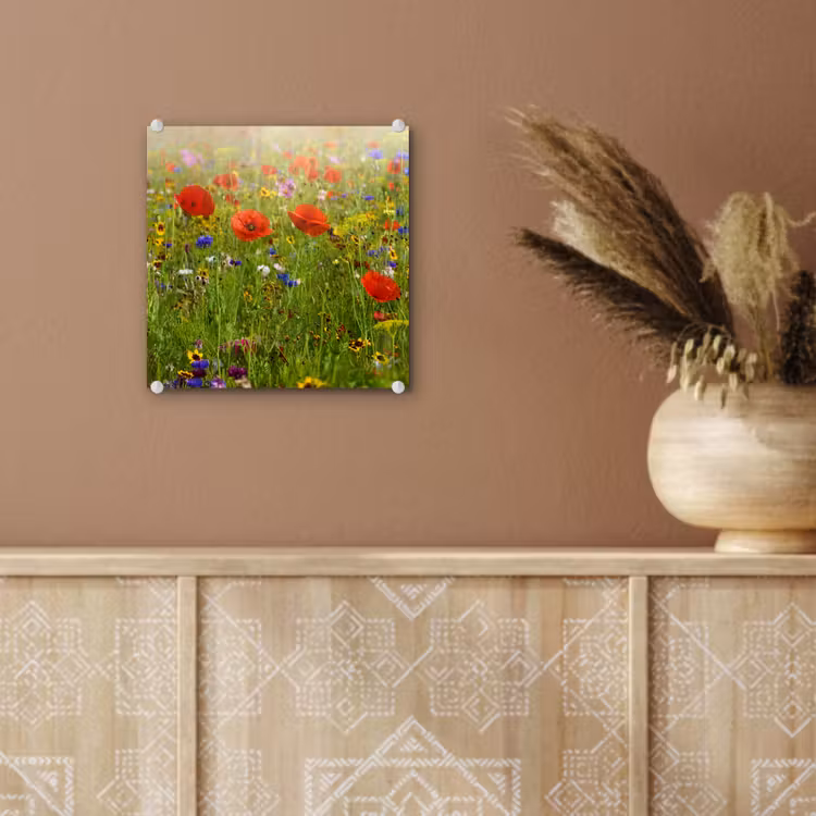Lente - Bloemen - Rood - Klaproos - Gras - Groen plexiglas 5mm klein -sfeer5
