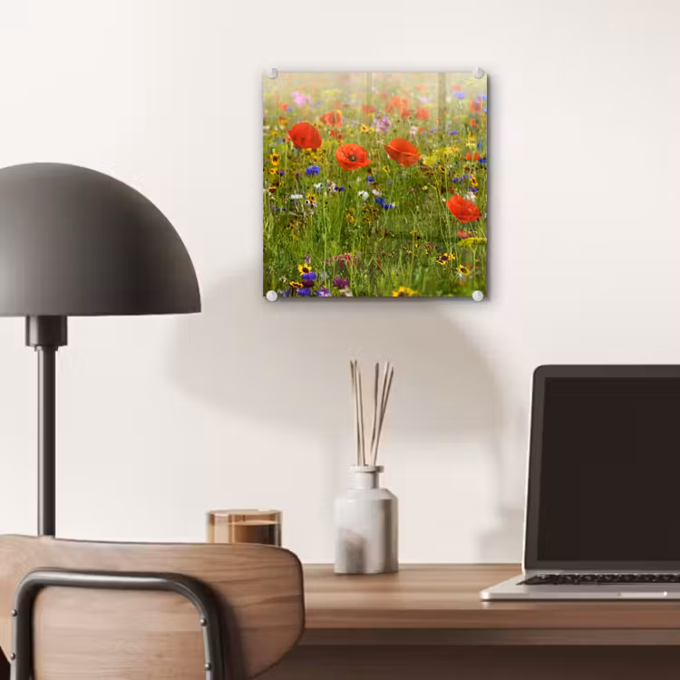 Lente - Bloemen - Rood - Klaproos - Gras - Groen plexiglas 5mm klein -sfeer6