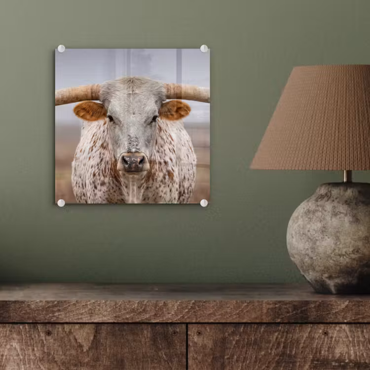 Longhorn - Grasveld - Dier plexiglas 5mm klein -sfeer3