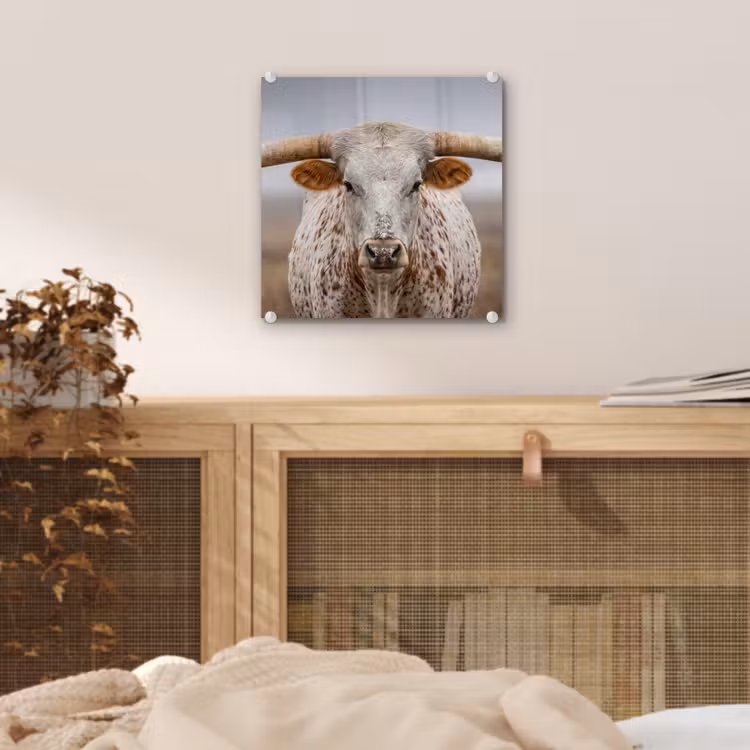 Longhorn - Grasveld - Dier plexiglas 5mm klein -sfeer4