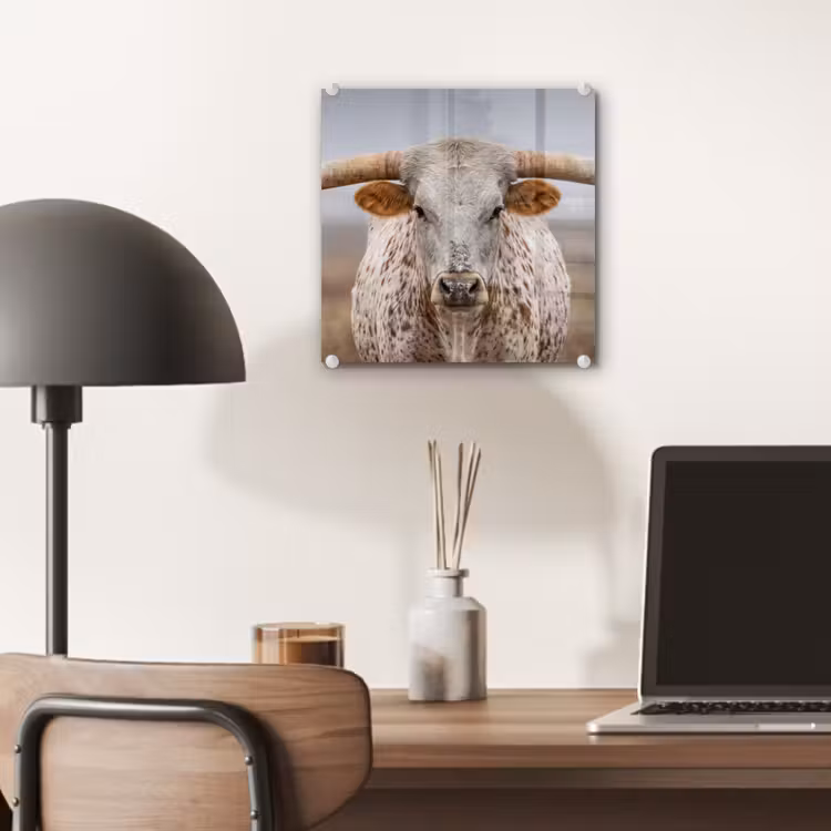 Longhorn - Grasveld - Dier plexiglas 5mm klein -sfeer6