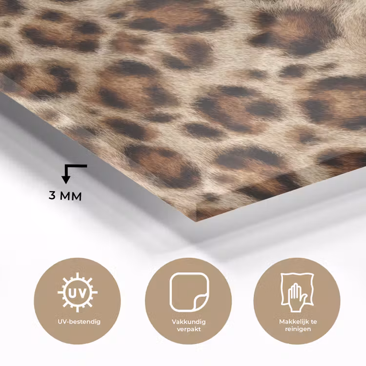 Luipaard - Bruin - Vacht plexiglas 5mm klein 11 -sfeer2
