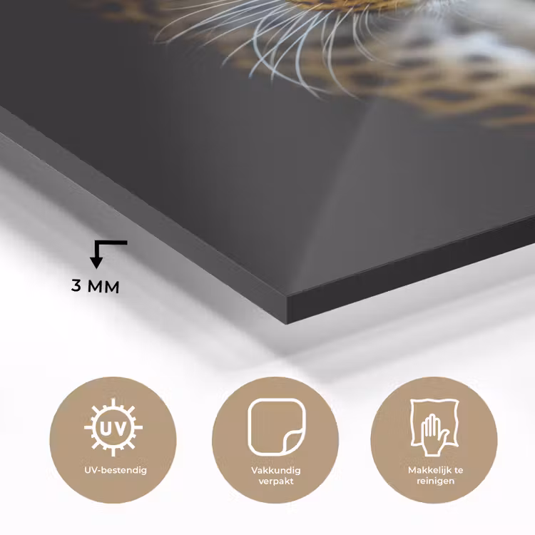 Luipaard - Dieren - Portret - Wilde dieren - Zwart plexiglas 5mm klein -sfeer2