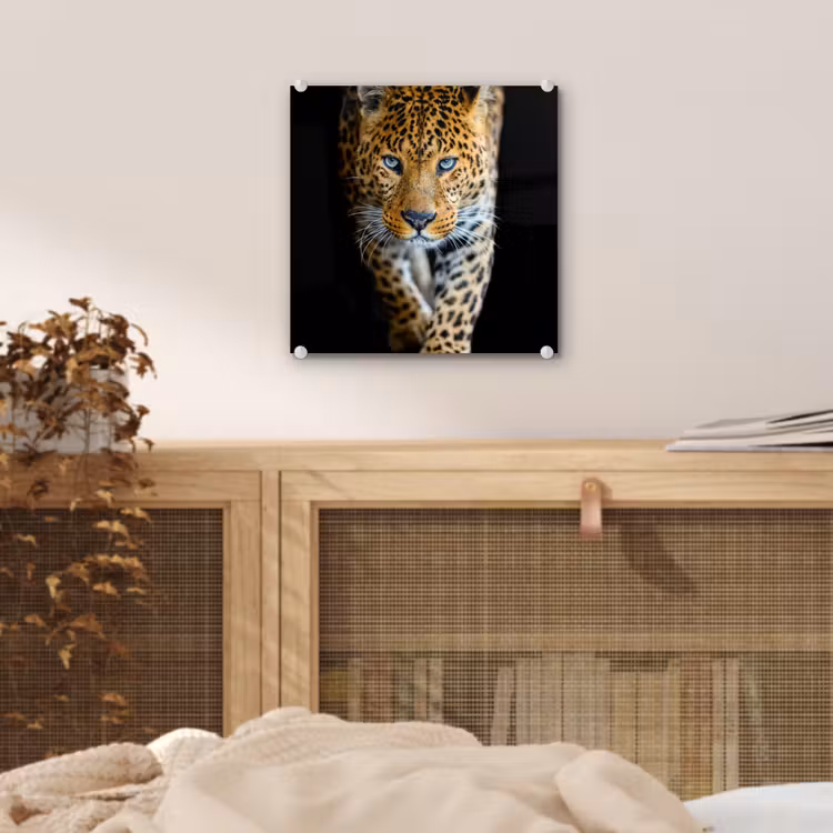 Luipaard - Dieren - Portret - Wilde dieren - Zwart plexiglas 5mm klein -sfeer4