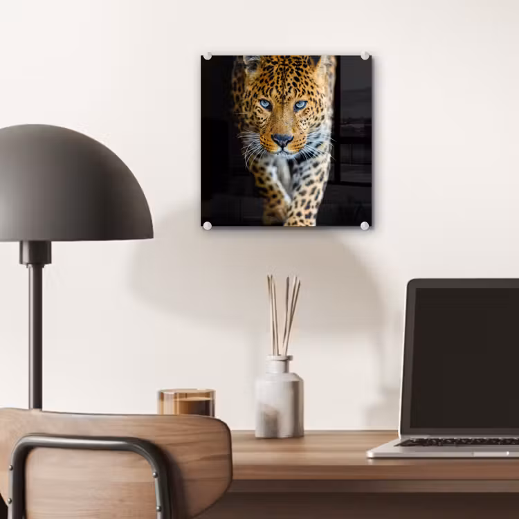 Luipaard - Dieren - Portret - Wilde dieren - Zwart plexiglas 5mm klein -sfeer6