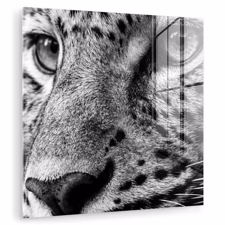 Luipaard - Zwart - Wit - Oog plexiglas 5mm klein -zzzproduct_nieuw