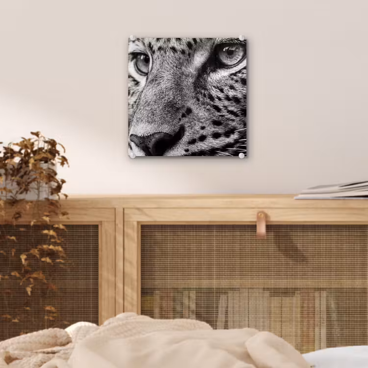 Luipaard - Zwart - Wit - Oog plexiglas 5mm klein -sfeer4