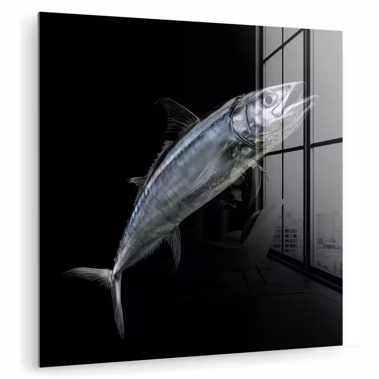 Makreel - Vis - Zwart plexiglas 5mm klein -zzzproduct_nieuw