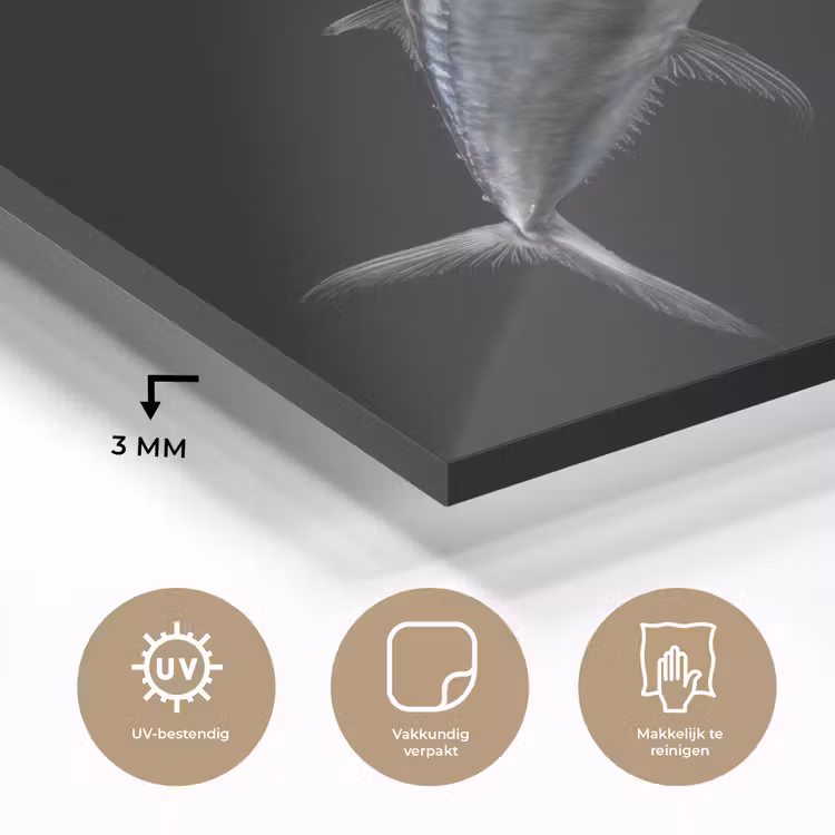 Makreel - Vis - Zwart plexiglas 5mm klein -sfeer2