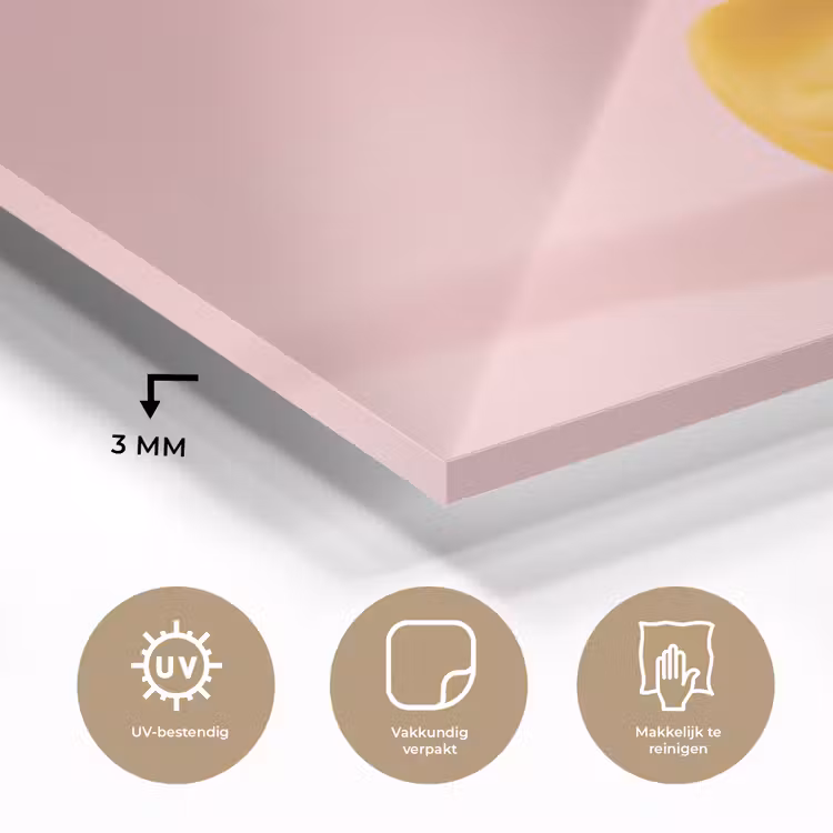 Matroos - Eend - Roze plexiglas 5mm klein -sfeer2