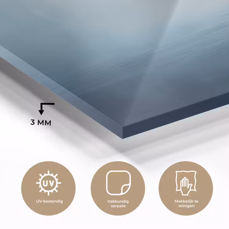 Meeuw - Wit - Zee - Mistig plexiglas 5mm klein -sfeer2