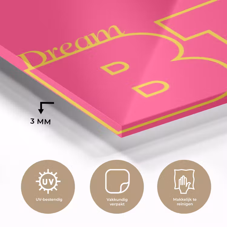Minimalistisch - Roze - Dream big - Grafisch plexiglas 5mm klein -sfeer2