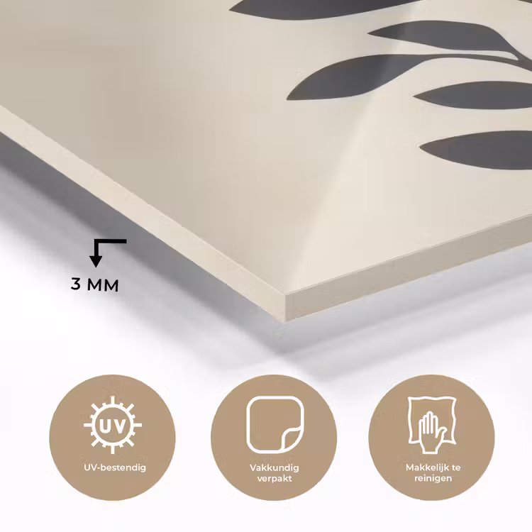 Minimalistisch - Tak - Bladeren - Zwart plexiglas 5mm klein -sfeer2