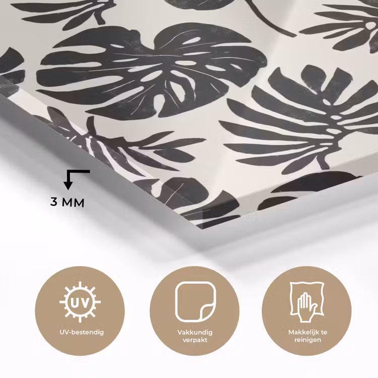 Modern - Monstera - Zwart plexiglas 5mm klein 11 -sfeer2