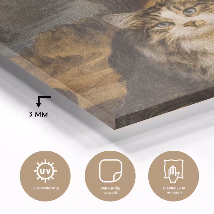 Mona Lisa - Kat - Leonardo da Vinci - Vintage - Kunstwerk - Oude meesters - Schilderij plexiglas 5mm klein -sfeer2