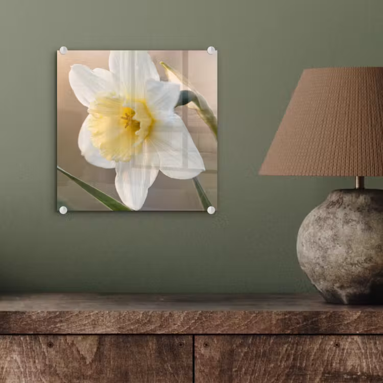 Narcis - Bloem - Minimalistisch plexiglas 5mm klein -sfeer3