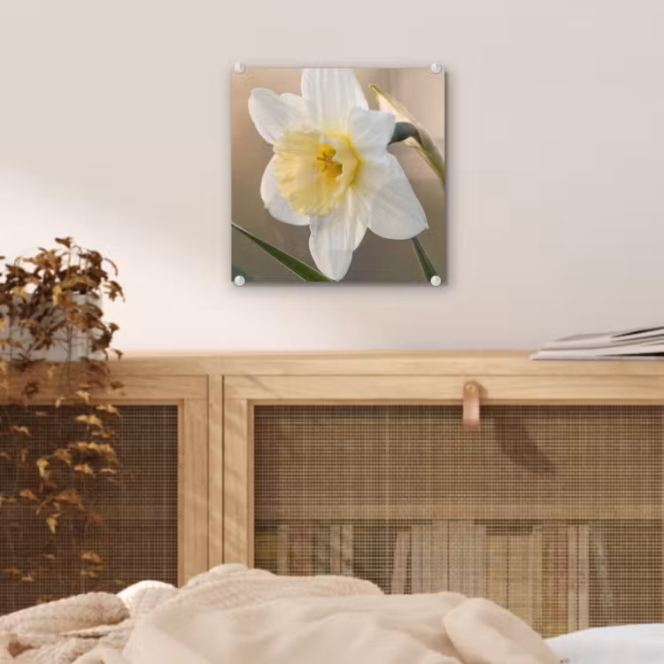 Narcis - Bloem - Minimalistisch plexiglas 5mm klein -sfeer4