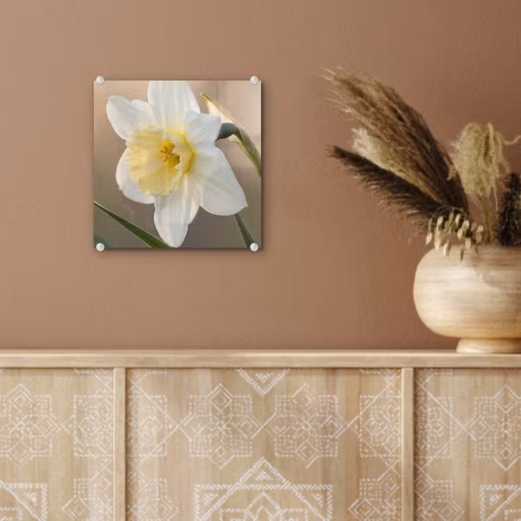 Narcis - Bloem - Minimalistisch plexiglas 5mm klein -sfeer5