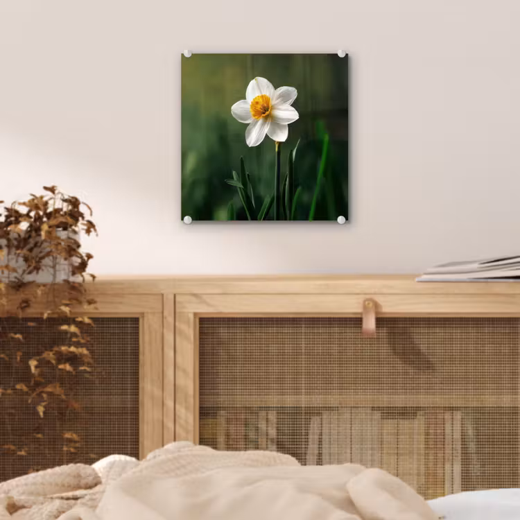 Narcis - Bloem - Wit - Grassprieten plexiglas 5mm klein -sfeer4