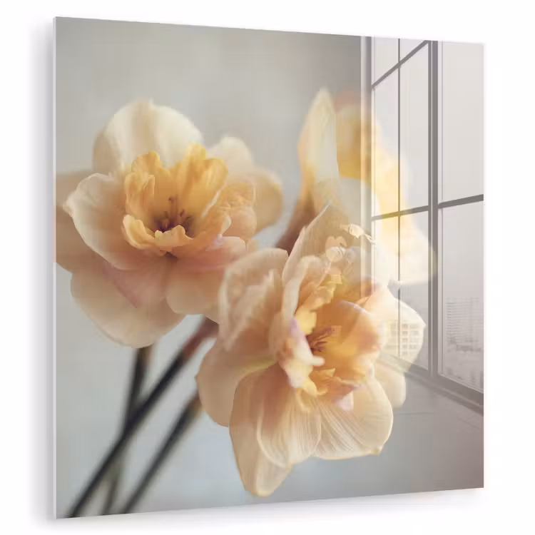 Narcissen - Geel - Bloemblaadjes plexiglas 5mm klein -zzzproduct_nieuw