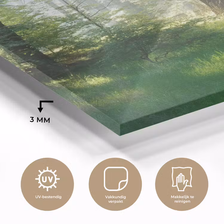 Natuur - Bomen - Bos - Groen - Zon - Gras - Planten plexiglas 5mm klein -sfeer2