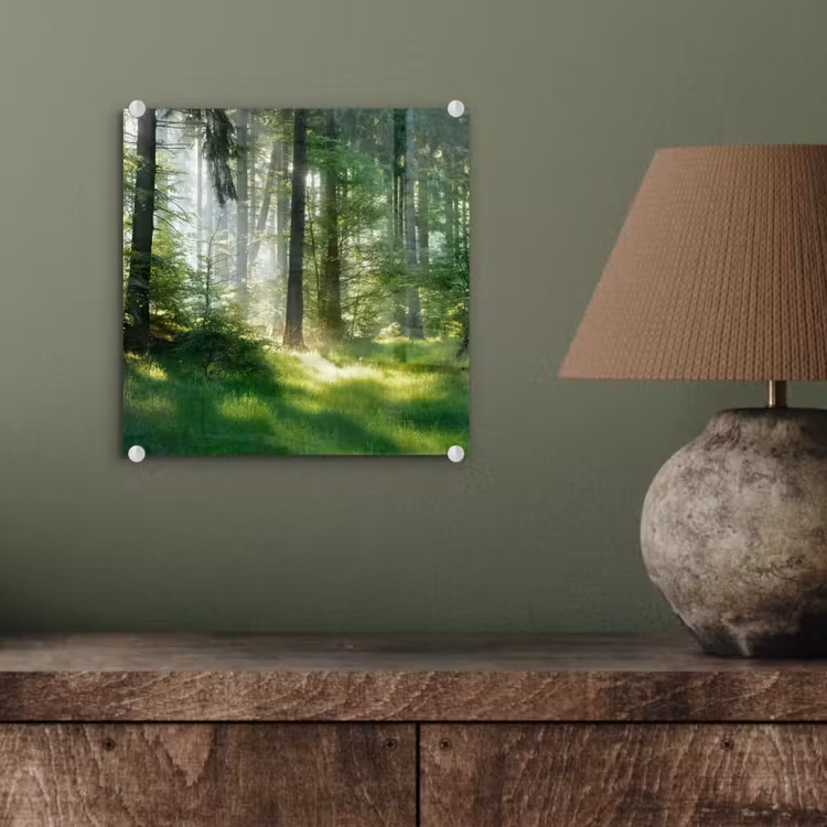 Natuur - Bomen - Bos - Groen - Zon - Gras - Planten plexiglas 5mm klein -sfeer3