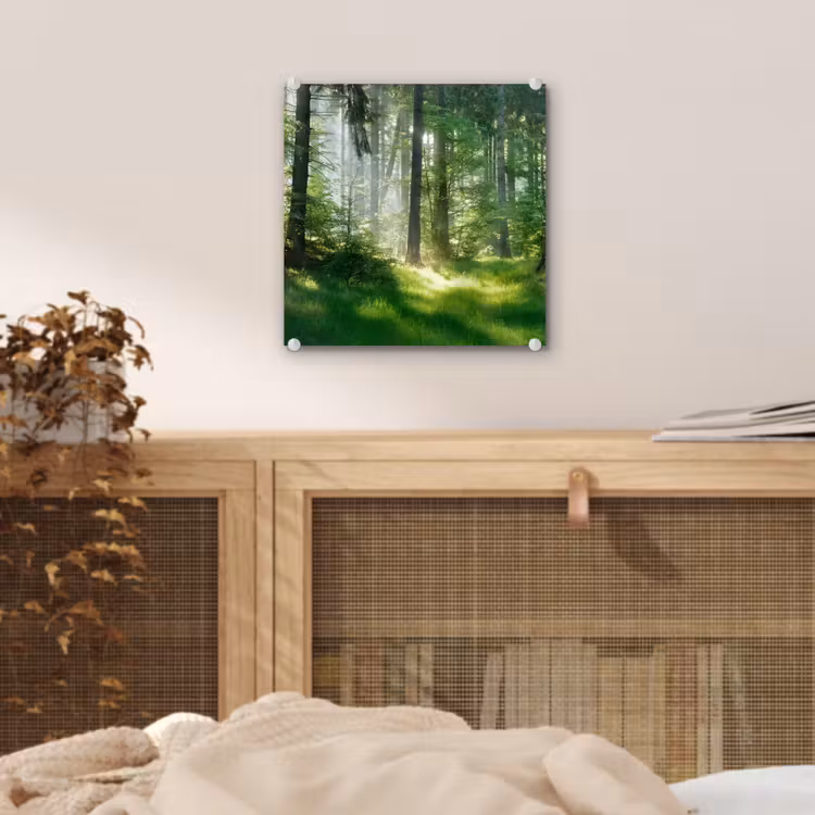 Natuur - Bomen - Bos - Groen - Zon - Gras - Planten plexiglas 5mm klein -sfeer4