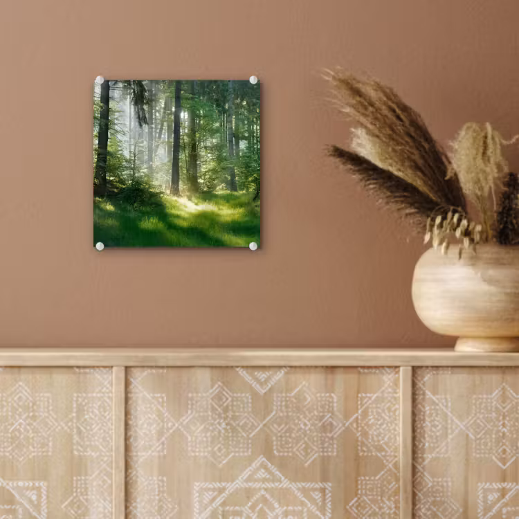 Natuur - Bomen - Bos - Groen - Zon - Gras - Planten plexiglas 5mm klein -sfeer5
