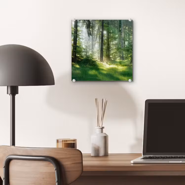 Natuur - Bomen - Bos - Groen - Zon - Gras - Planten plexiglas 5mm klein -sfeer6