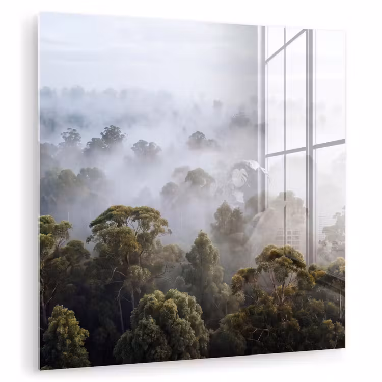 Natuur - Mist - Bos - Ochtend - Goud plexiglas 5mm klein -zzzproduct_nieuw
