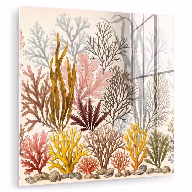 Natuur - Onderwater - Botanisch - Vintage - Kleurrijk plexiglas 5mm klein -zzzproduct_nieuw