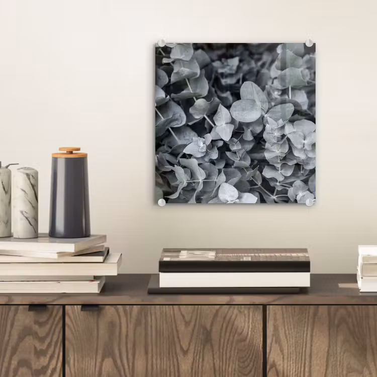 Natuur - Planten - Eucalyptus - Bladeren plexiglas 5mm klein -sfeer1