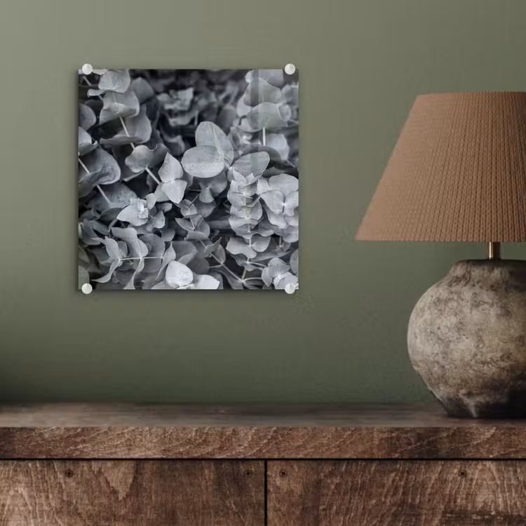 Natuur - Planten - Eucalyptus - Bladeren plexiglas 5mm klein -sfeer3