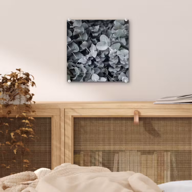 Natuur - Planten - Eucalyptus - Bladeren plexiglas 5mm klein -sfeer4
