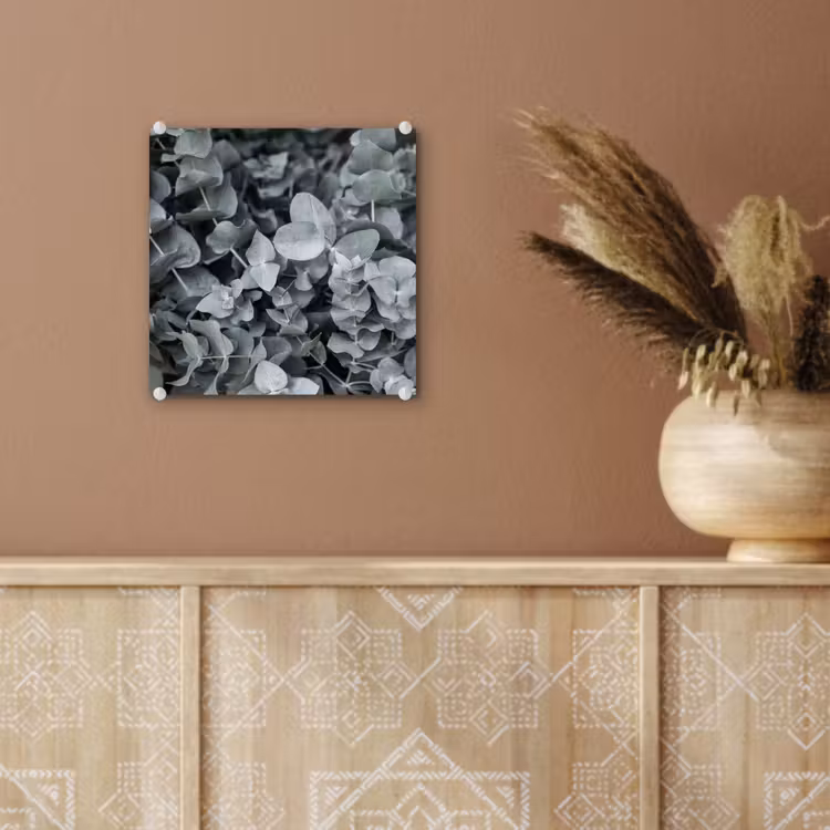 Natuur - Planten - Eucalyptus - Bladeren plexiglas 5mm klein -sfeer5