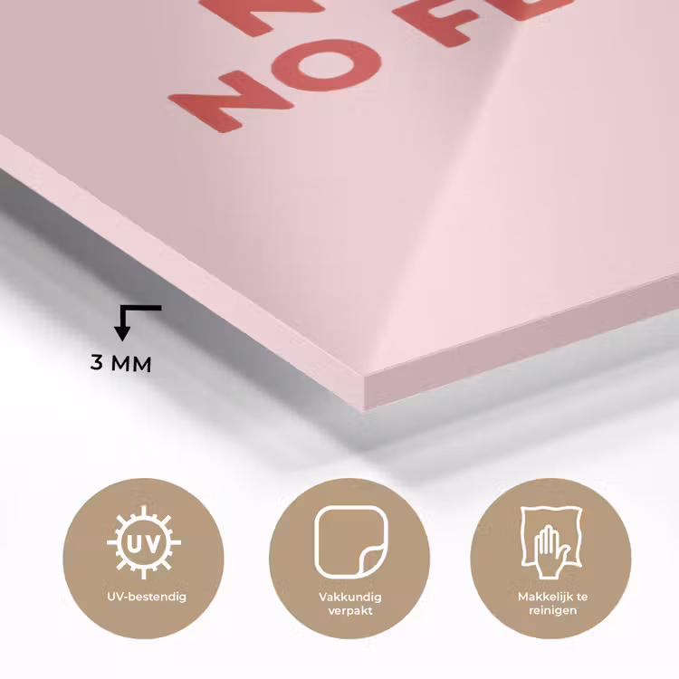 No rain no flowers - Minimalistisch - Roze - Bloem plexiglas 5mm klein -sfeer2