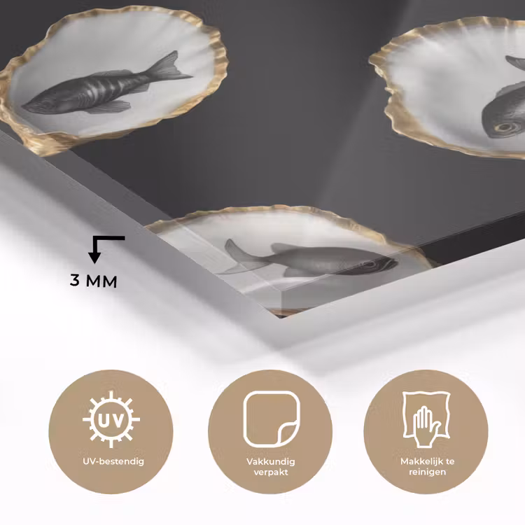 Oesters - Zwart - Vissen - Goud plexiglas 5mm klein -sfeer2